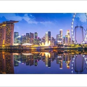 Meet your Posher, Lily